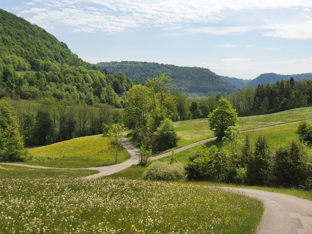 Landschaft mit grünen Hügeln, Wiesen und einem geschwungenen Weg