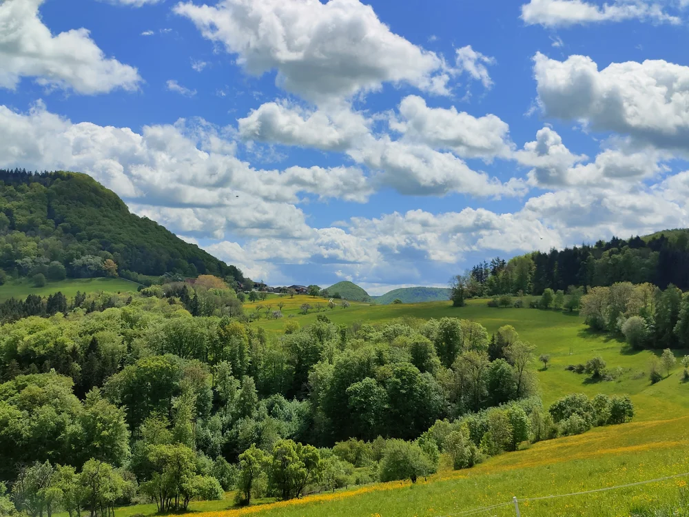 Grüne Hügel und Bäume unter blauem Himmel mit weißen Wolken